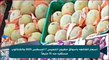 أسعار الفاكهة بأسواق مطروح الخميس 7 أغسطس 2025 والكنتالوب مستقرة عند 15 جنيهاً